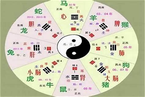 三字五行|五行汉字属性查询